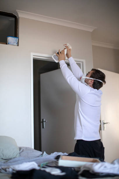 Best Dehumidification Services  in Dover, NJ