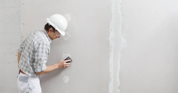 Best Mold Damage Restoration  in Dover, NJ