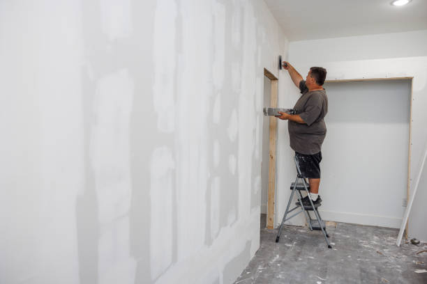 Best Mold Removal for HVAC Installations  in Dover, NJ