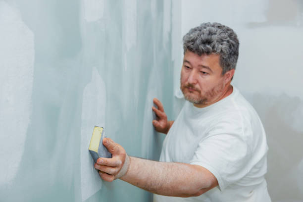 Best Post-Construction Mold Inspection  in Dover, NJ