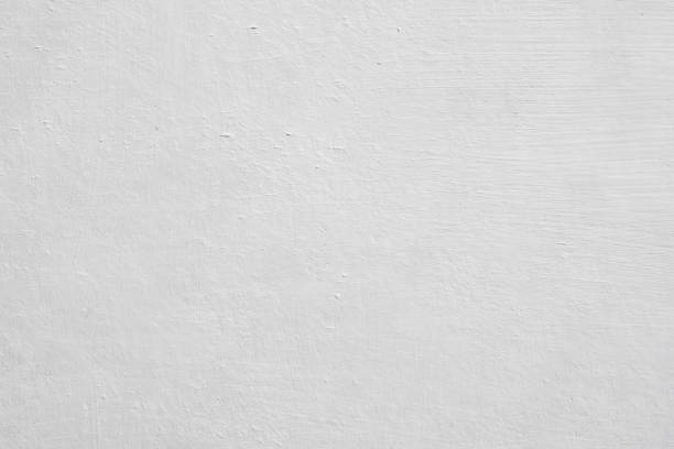 Best Attic Mold Removal  in Dover, NJ