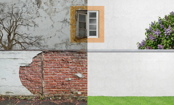 Best Mold Remediation for Healthcare Facilities  in Dover, NJ
