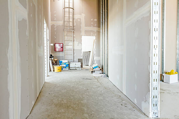 Best Mold Prevention Services  in Dover, NJ