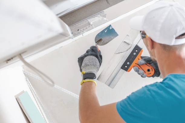 Best Comprehensive Air Testing for Mold Contaminants  in Dover, NJ